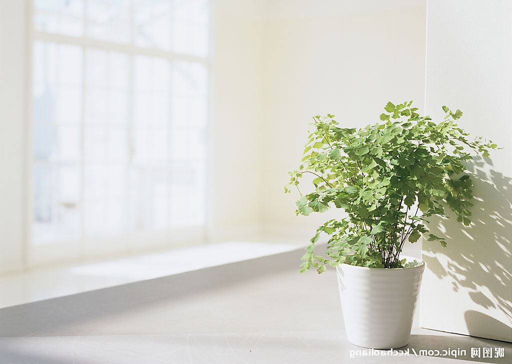 绿色心情（鹿洼煤矿&nbsp;张春刚）