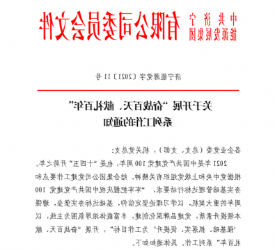 集团公司“奋战百天、献礼百年”系列工作全面夯实党建基础