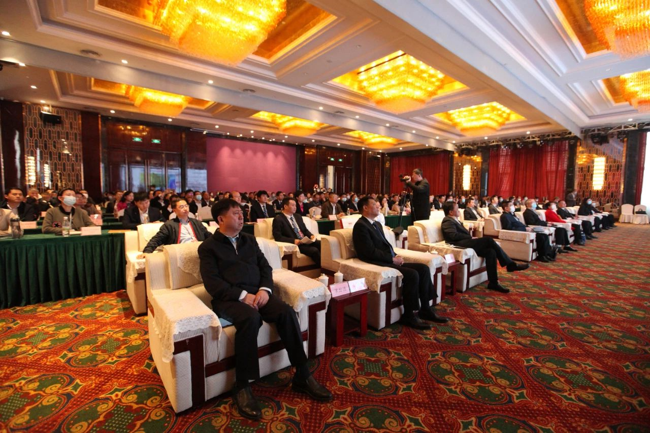 1617979241811812.jpg 1617979241811812.jpg