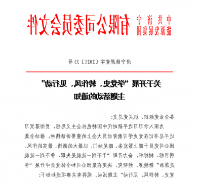 集团公司开展“学党史、转作风、见行动”主题活动