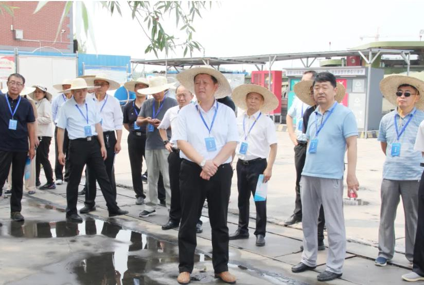 1625189969782220.jpg 1625189969782220.jpg