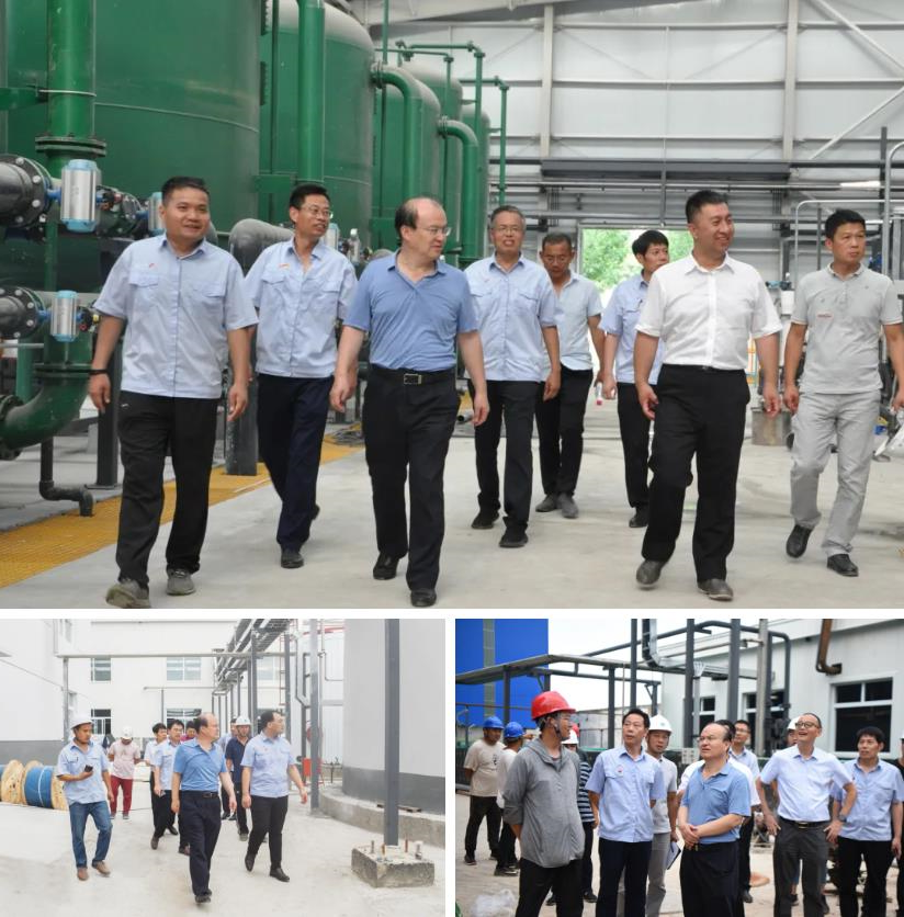 1626173146313346.jpg 1626173146313346.jpg