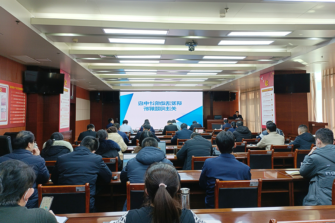 1645342546672234.jpg 300.jpg