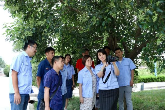 义桥煤矿丨摄影协会爱好者用镜头记录“大美义桥”