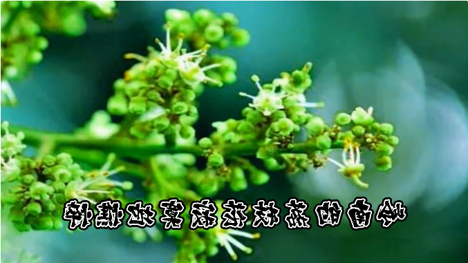 1663473137160618.png 微信截图_20220918115152.png