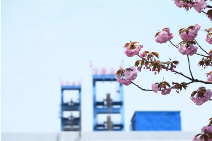 1681862405631425.jpg 微信截图_20230419075714.jpg