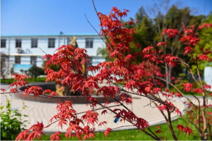 1682037554140581.jpg 微信截图_20230421083656.jpg