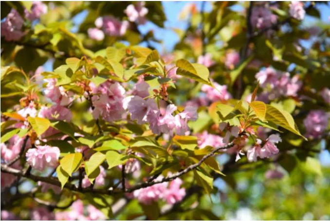 1682037563419717.jpg 微信截图_20230421083809.jpg