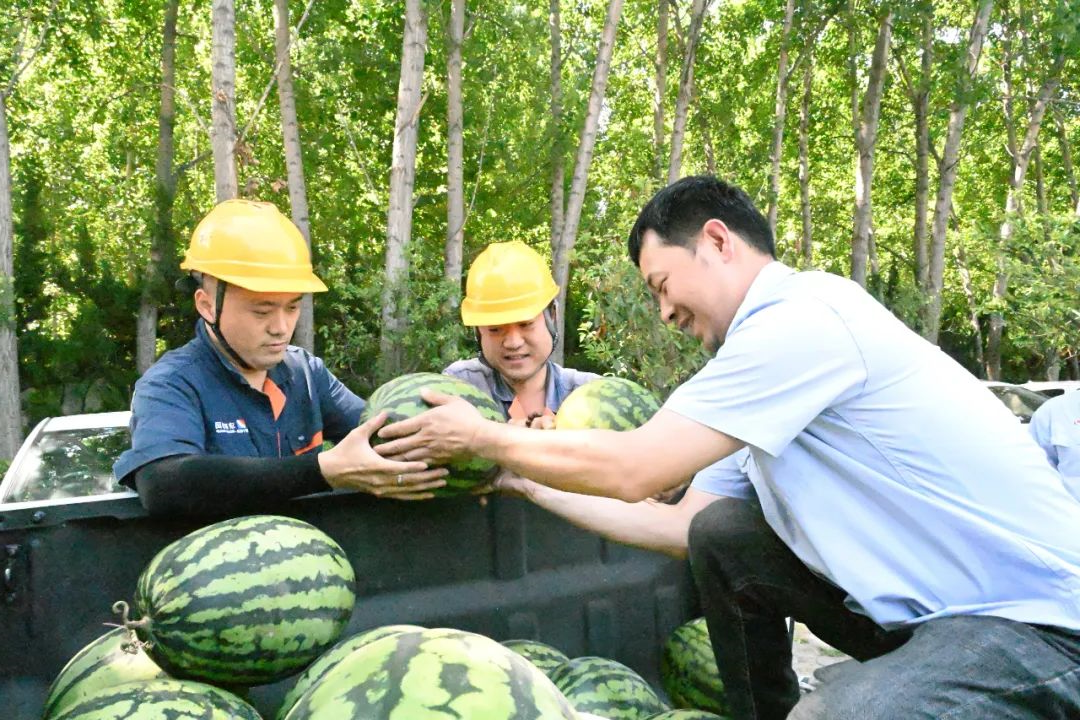 1688605617723939.jpg 640 (1).jpg