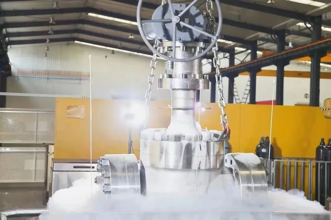 1700471941293562.jpg 640 (3).jpg