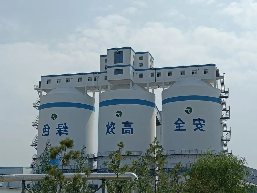 1702689139601756.jpg 1702689165184.jpg