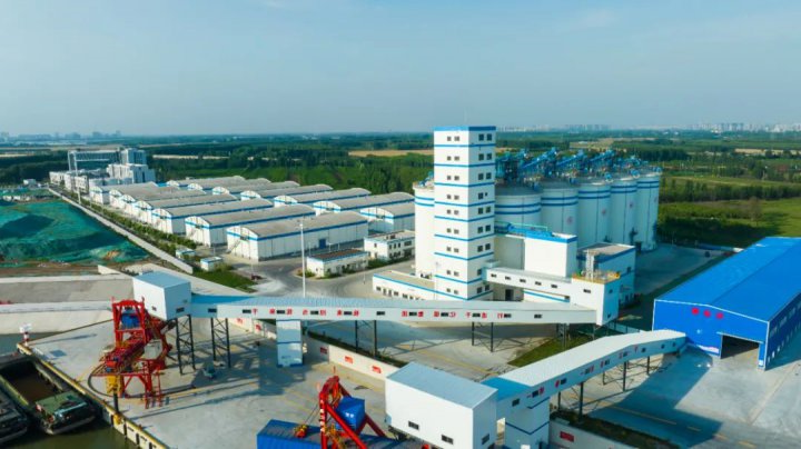 腾仓并库6万余吨仓容，济州港区粮食产业园迎接夏粮“颗粒归仓”