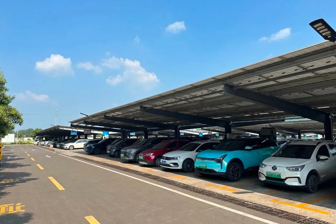 1726037630994636.jpg 0003.jpg