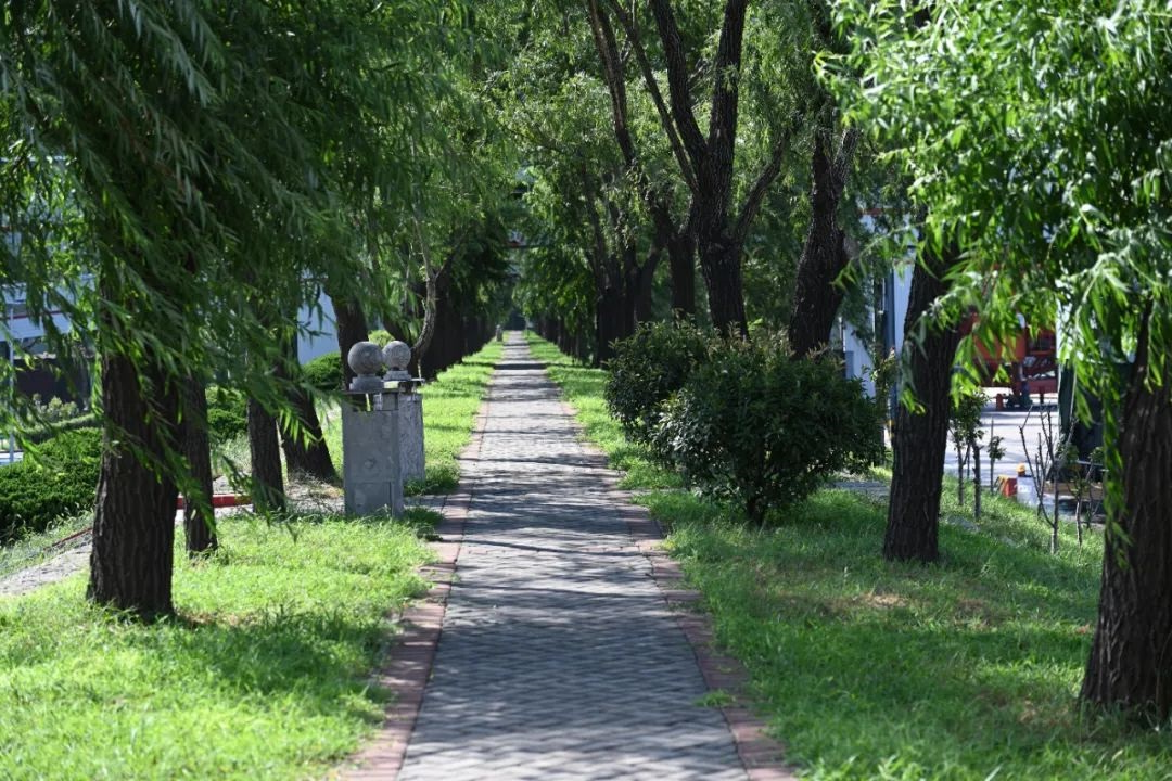 1727099854868639.jpg 0004.jpg