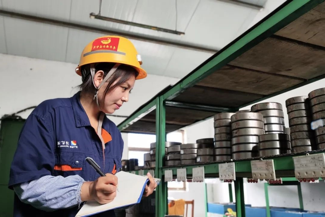 1728966338139745.jpg 0003.jpg