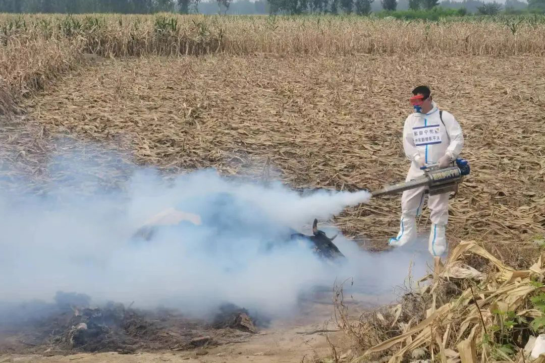 1729736157120790.jpg 00002.jpg