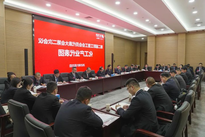 张广宇参加化工产业代表团分组讨论