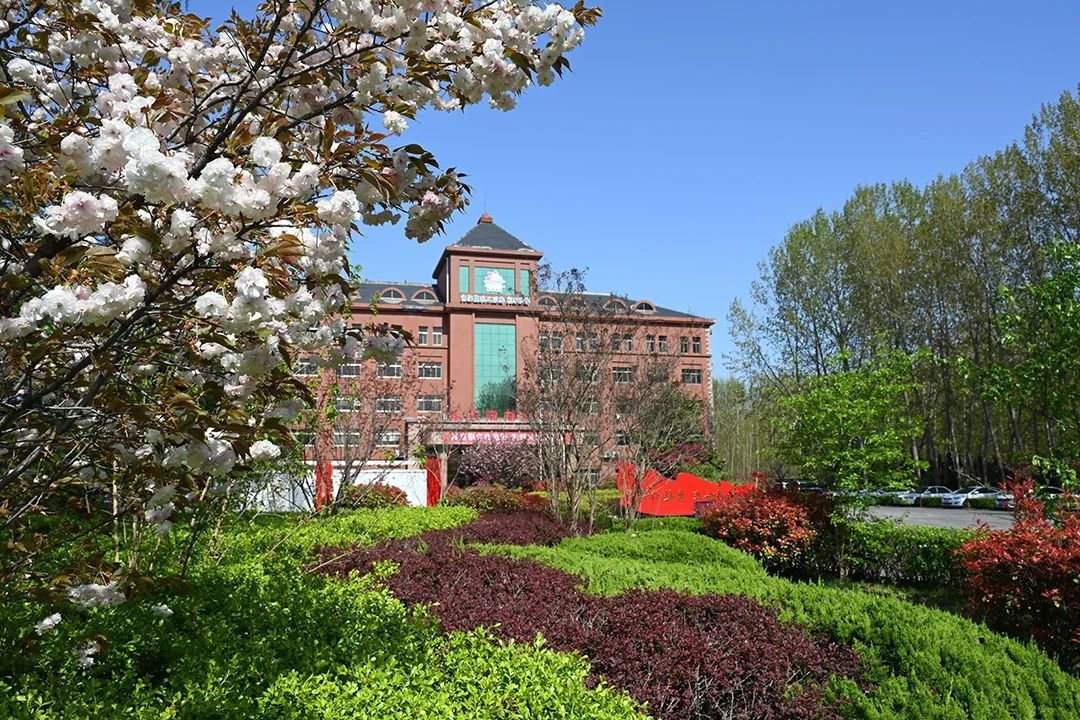 1749545003268001.jpg 05.jpg