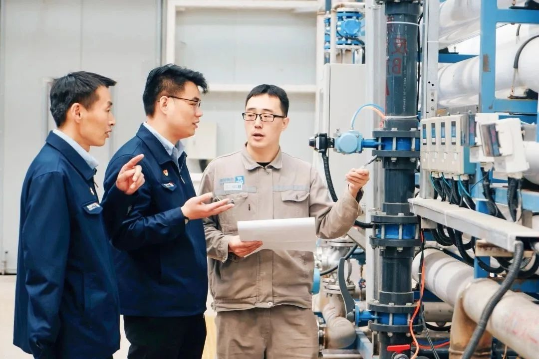 1756196365364995.jpg 09.jpg